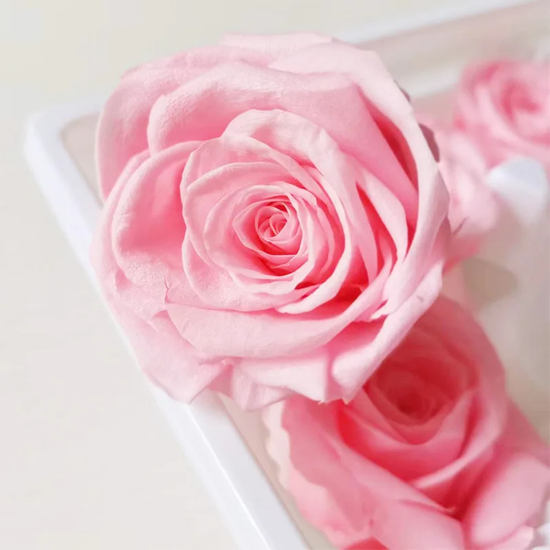 

8pcs 4-5cm Rose Head Preserved Flower Valentine's Day Gift for Lover Wedding Party Home Decoration