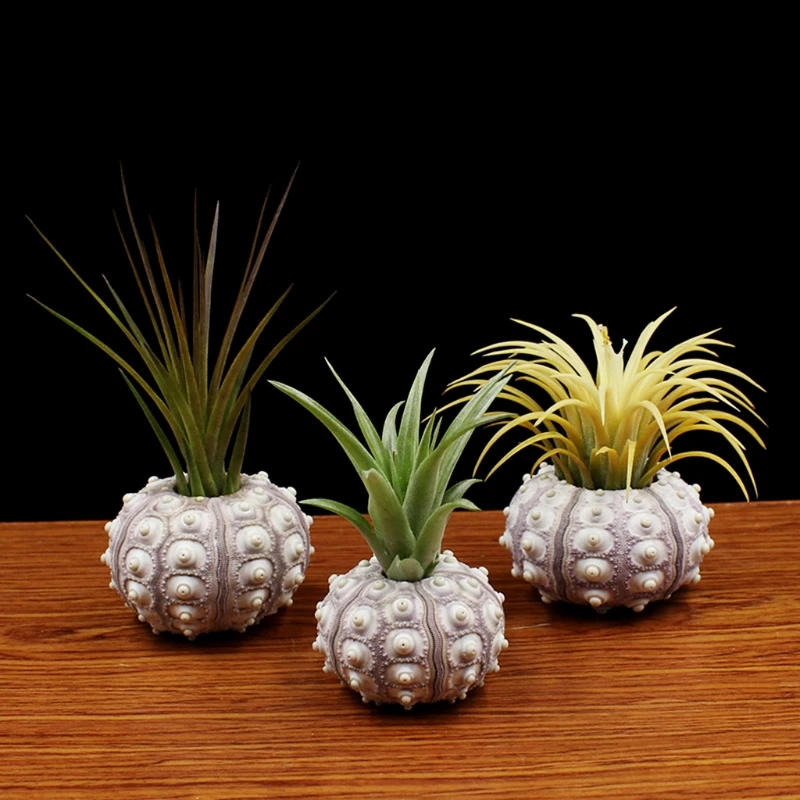

OOTDTY Air Plants Sea Urchin Tabletop Tillandsia Holder Flower Pot Miniature Gardening Decorations