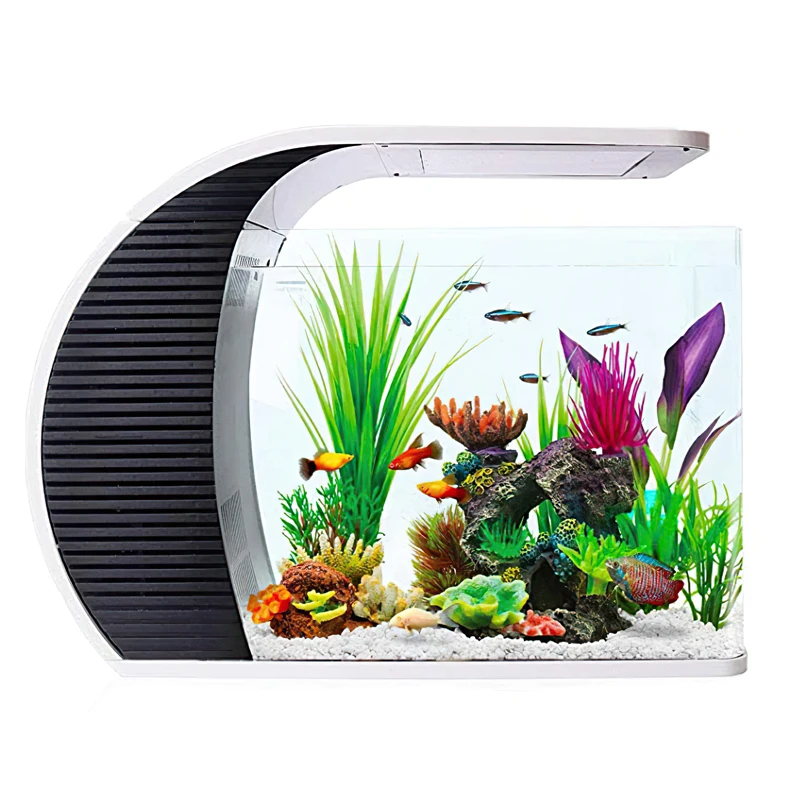 rivier Verschuiving Tweede leerjaar Aquarium Accessories Fish Tank With Led Lighting Water Pump Arc-shaped Tank  For Aquarium Filter - Aquariums - AliExpress