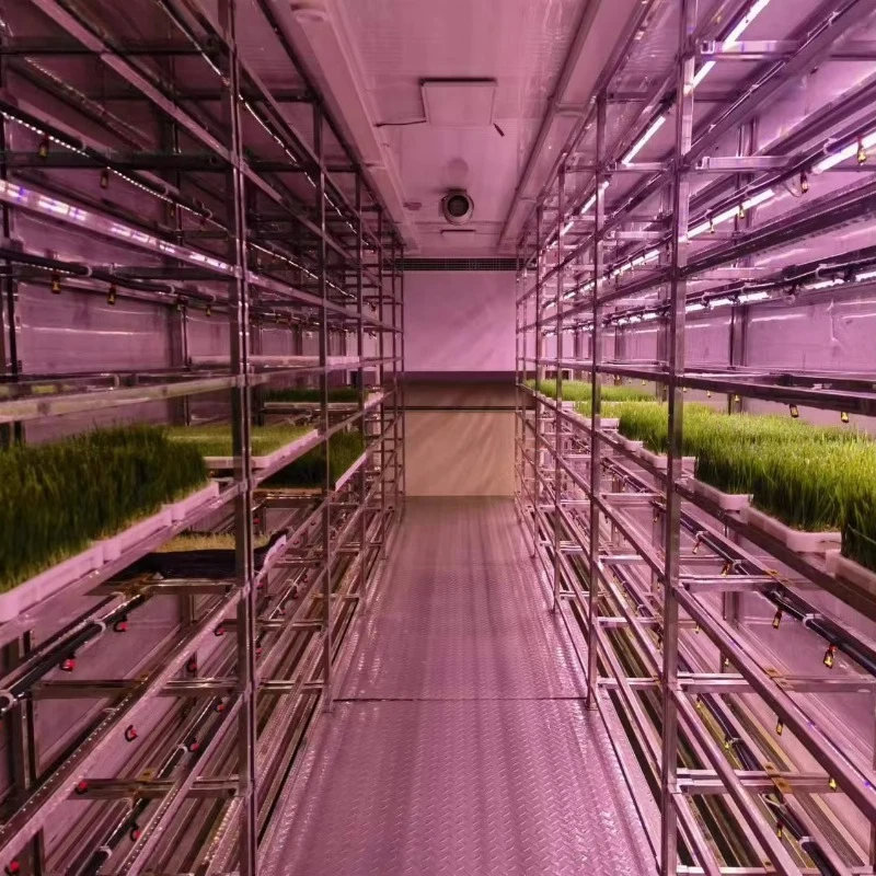 รูปสินค้า ระบบฟาร์มไฮโดรโปนิกส์ในตู้คอนเทนเนอร์ Smart Container Farm
