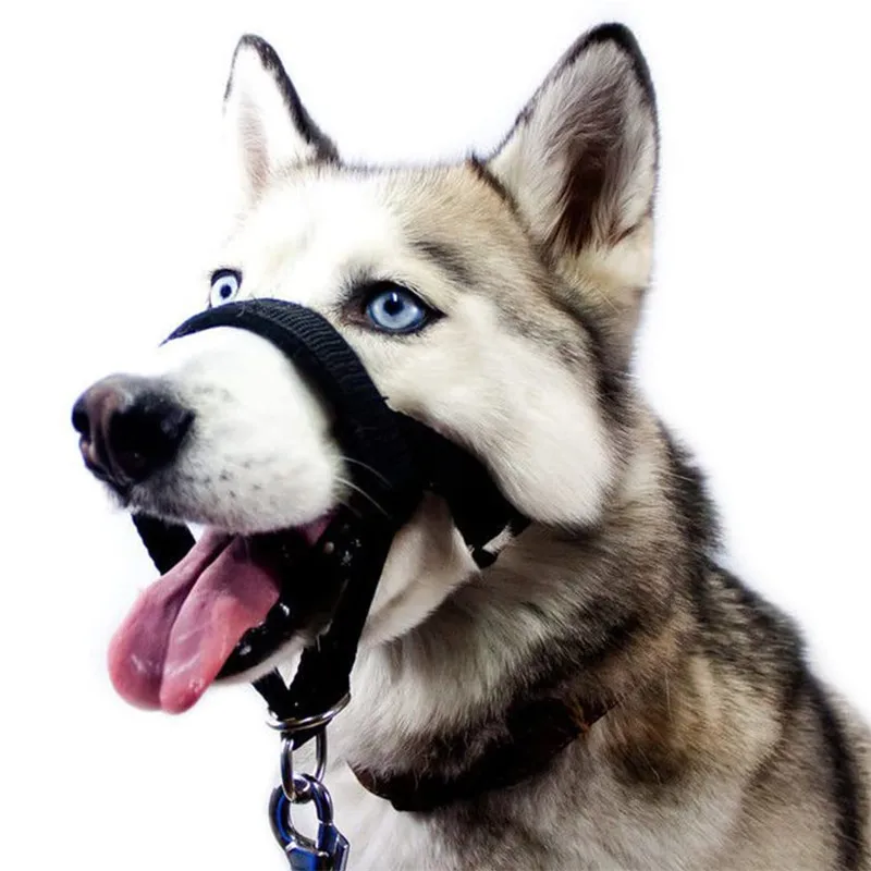 

Dog Muzzle Training Belt Adjustable Anti-bite Mask Pet Traction Set Pet Muzzle Dog Accessories Dog Leash