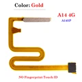 A14 A145P gold