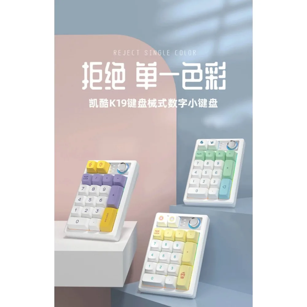 KEYCOOL K19 디지털 기계식 키보드, 19 키 노트북, 블루투스 숫자 노브 키패드, 개스킷 구조, 재무 회계 DIY
