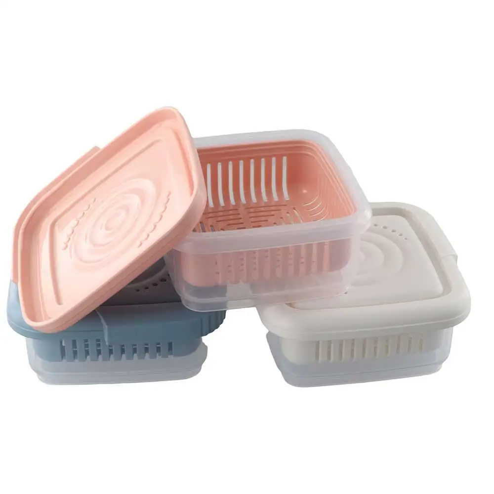 Plastic Kitchen Gadget Thick Double Layer Sealed Ginger Container Fruit Storage Containers Vegetable Tray Fridge Storage Box 5