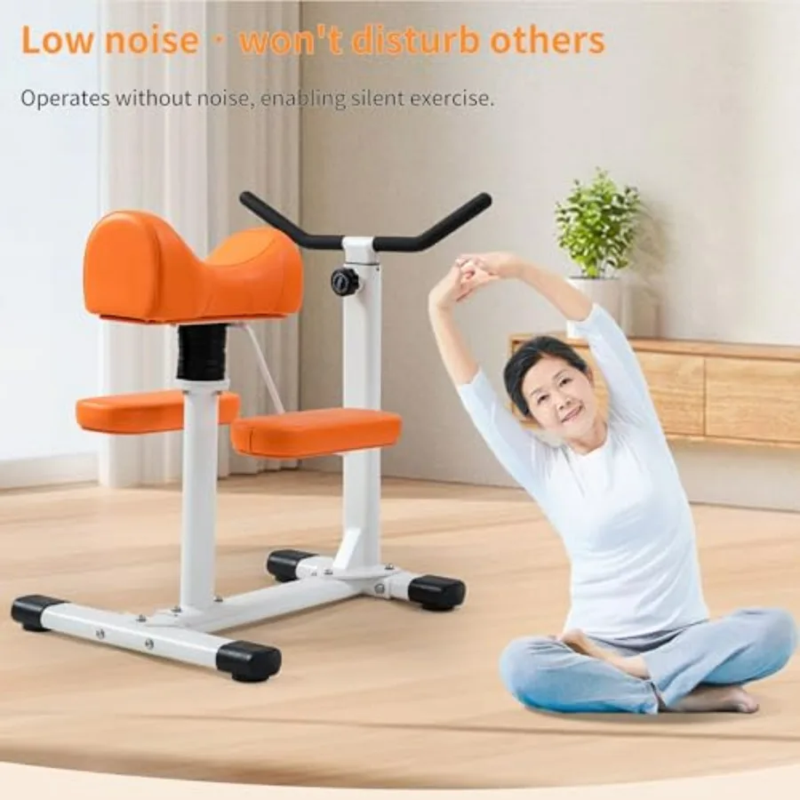 Waist Twist Machine, 3D Cushioned Core Exercise Equipment, Fitness and Rehabilitation Trainer