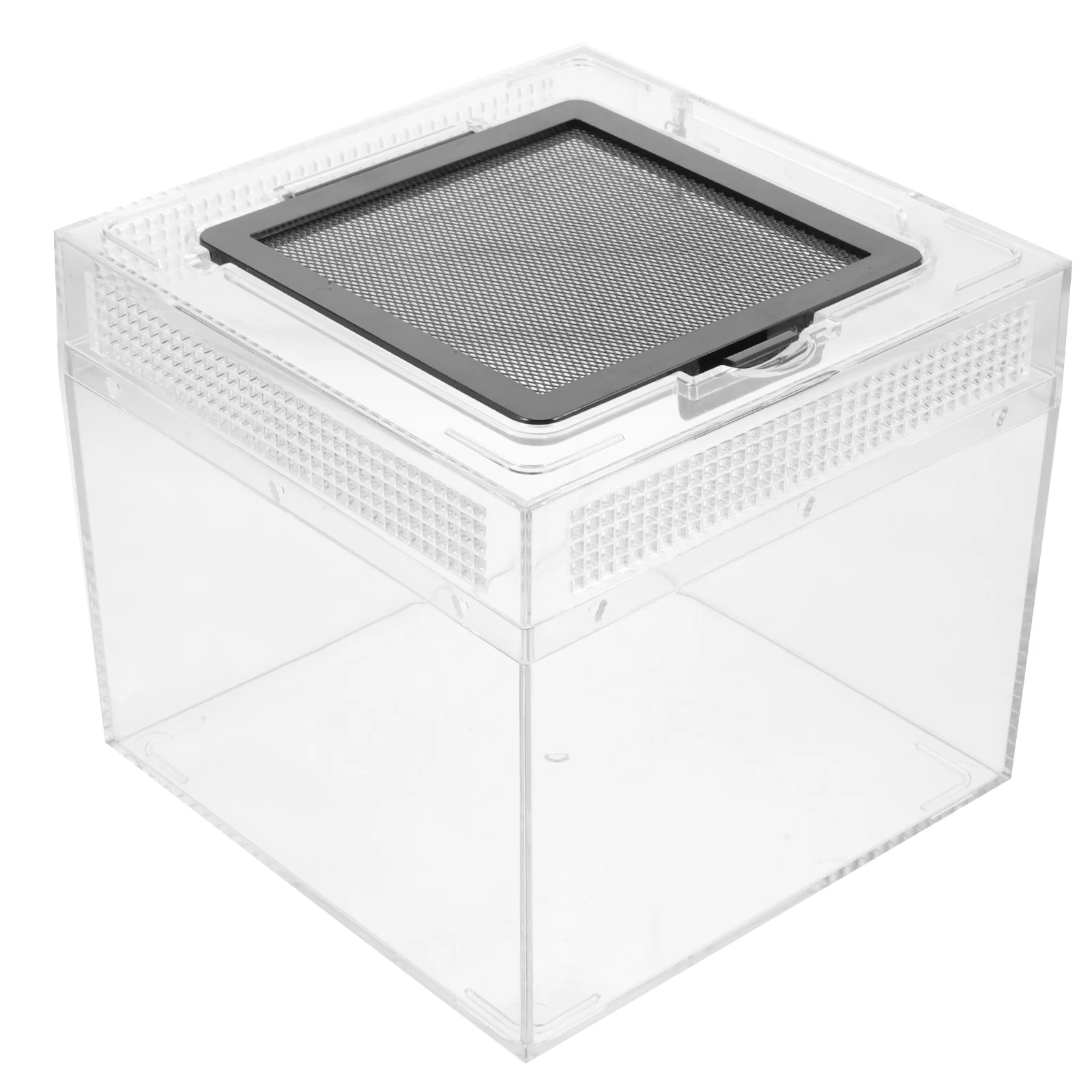 

Box Habitat Tarantula Cage Enclosure Reptile Spider Feeding Terrarium Breeding Snake Tank Container Cricket Bowl House Crab