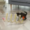 Folded Cat Tunnel S Type Cats Tunnel Spring Toy Mouse Tunnel With Balls And Crinkle Cat Outdoor Cat Toys For Kitten Interactive 4