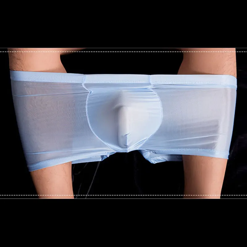 Sissy Full Transparent Briefs High Elastic Underwear Gay Man Ultra Thin Mesh Silky Panties Oil Shiny Penis Pouch Underpants 6