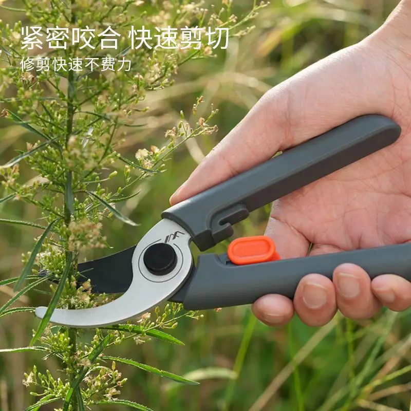정원 꽃 예술 가지 치기, 과일 나무, 원예 가위, 가정용 가위