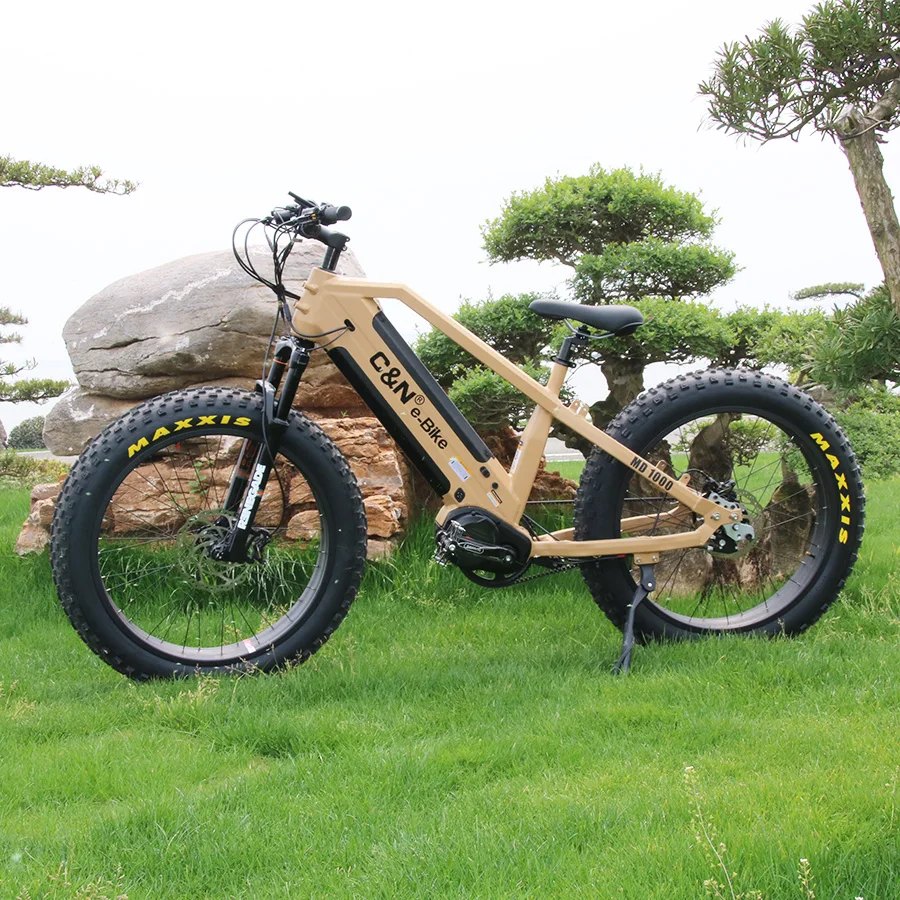 Description Picture 6 of itemBafang M620 G510 48V 52V 1000W Mid Drive e-Bike Motor Electric Cargo Bicycle Conversion Kit for Mountain Bike DPC18