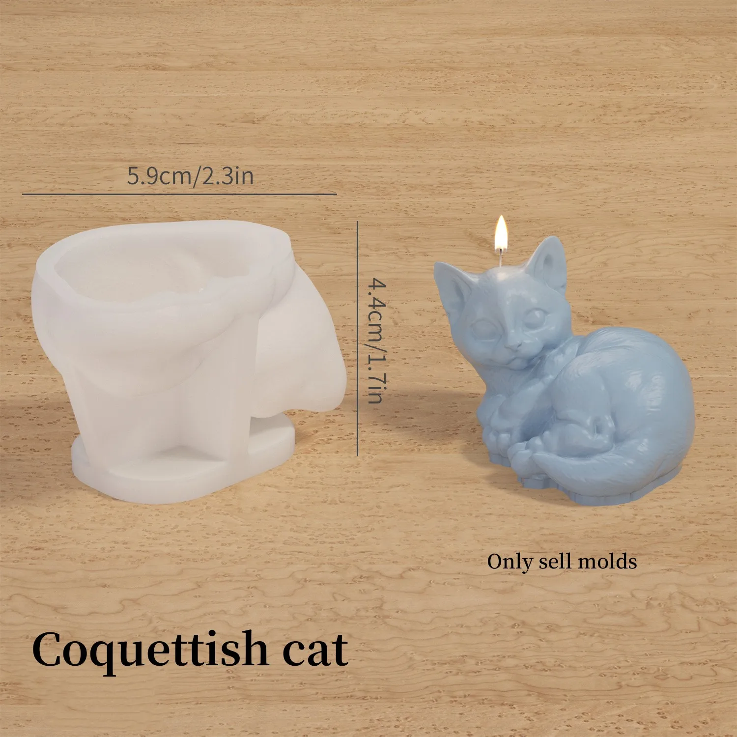 Coquettish cat