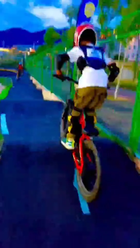 16-дюймовый игрушечный мотоцикл 350 Вт балансир 5 Ач 36 В мини-внедорожный велосипед