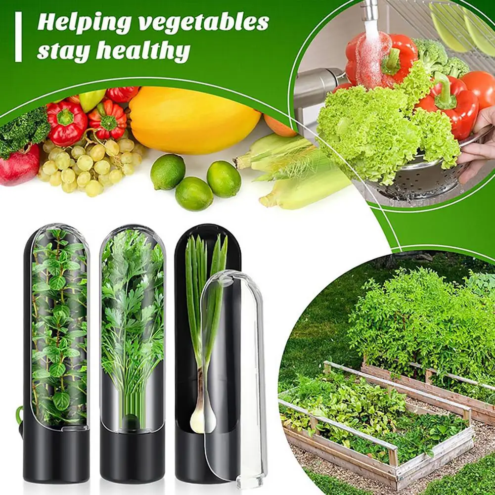 Herb Saver for Refrigerator Herb Storage Container Refrigerator Saver for Vegetable Preservation Cilantro Thyme Parsley