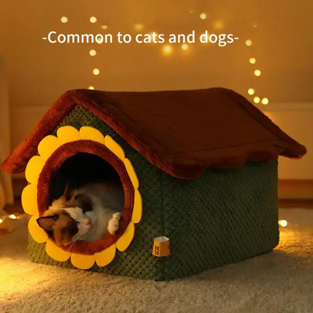 Cat House Price In Pakistan Lahore informacionpublica.svet.gob.gt