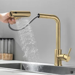 Sleek Black Kitchen Faucet with Gray Pull-Out Waterfall Sprayer and Brushed Nickel Finish - G9/16 (Brushed Gold)