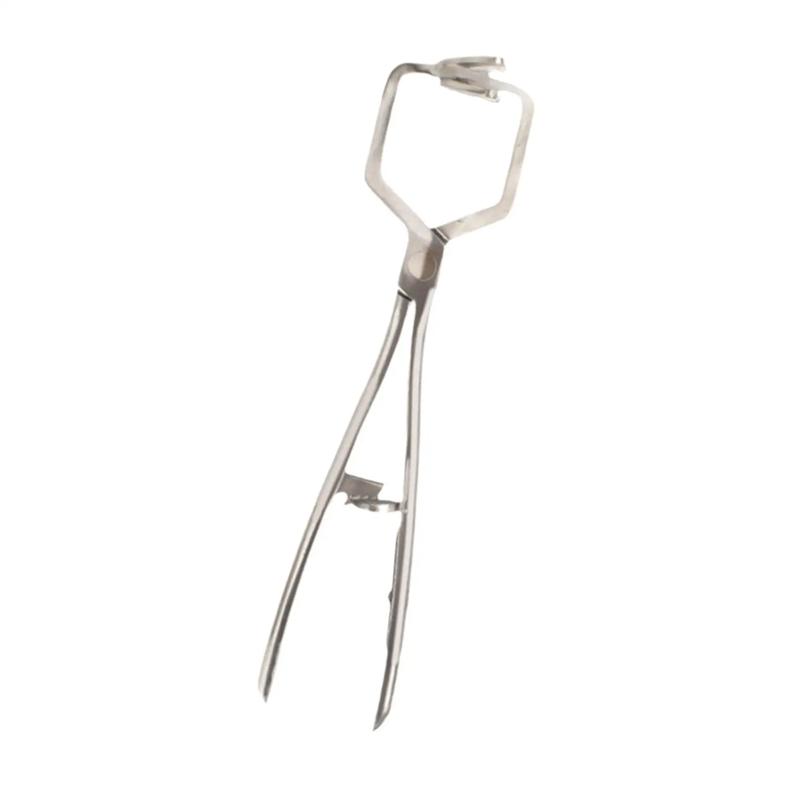 Stainless Steel Bander Livestock Castration Solution Heavy Duty Opener Castrating Plier for Lambs Calves Piglets Veterinary Stainless Steel Bander Livestock Castration Solution Heavy Duty Opener Castrating Plier for Lambs Calves Piglets Veterinary