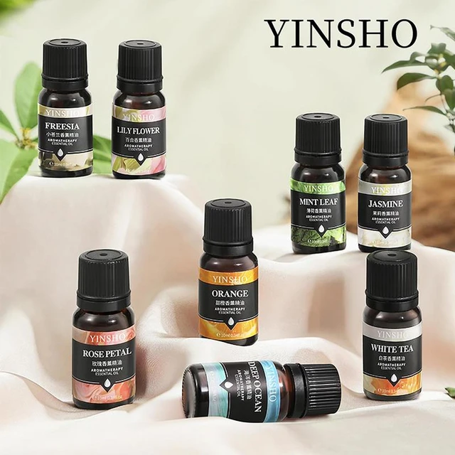 Candle Fragrance Oil Natural Aromatherapy Oils For Diffuser 6 Pcs 10ml Fall  Thanksgiving Diffuser Oils Scents With Aromas Of - AliExpress