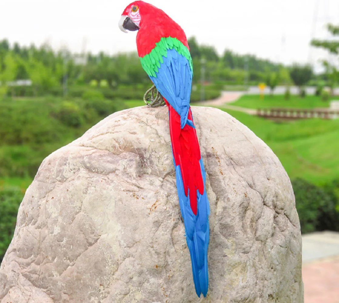 

big simulation red parrot model foam&feather turned parrot bird doll gift about 60cm