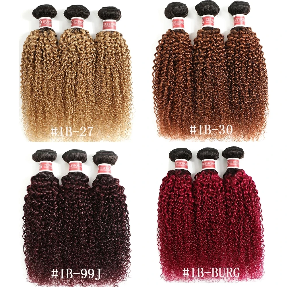 Ombre 27 Kinky Curly Hair Bundles Brazilian Human Hair 1/3 Pcs 1B Brwon Red Burg Remy Curly Hair Weaving Bundles EUPHORIA