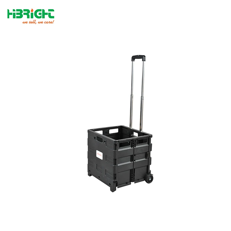 Carro Plegable Plastic Folding Shopping Cart