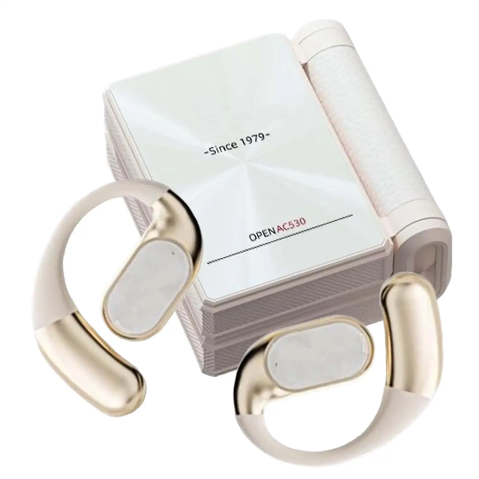 Noise-Cancelling Wireless Earbuds with Earhooks and Waterproof Double-Fold Case