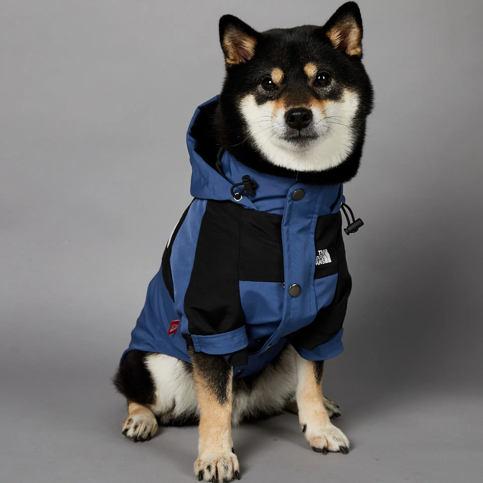 Windproof and Rainproof Dog Large Dog Raincoat Blue Pet Charge Coat dog raincoat