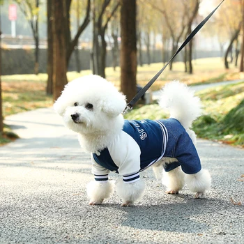 Pet Sports Style Jumpsuit, All-Season Dog Clothes, Suitable For Small Dog Pet Apparel With Traction Capability 6