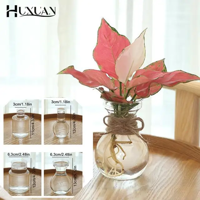 Clear Glass Hyacinth Vase Transparent Flower Plant Bottle Pot DIY Ornaments Home Living Room Garden Decoration Desk Decors 15cm