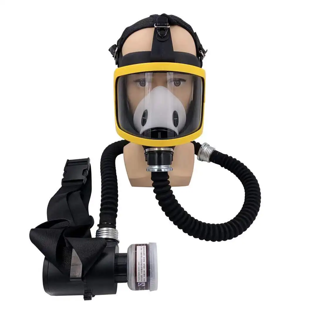 

Protective Electric Constant Air Flow Supplied Fed Full Face Gas Mask Respirator Breathing Masks Workplace Safety Device System