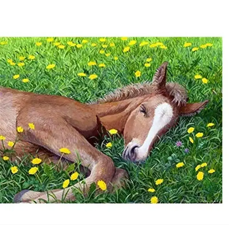 GATYZTORY DIY Paint By Number For Adult Kit Oil Painting Horse Coloring By Numbers On Canvas Handpainted Craft Home Decor Gi
