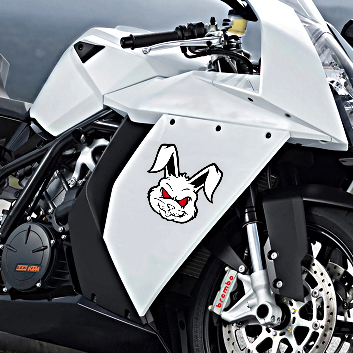 Rabbit Stickerᕱᘏ ゛専用 Rabbit Stickerᕱᘏ ゛専用 Bonded rabbits