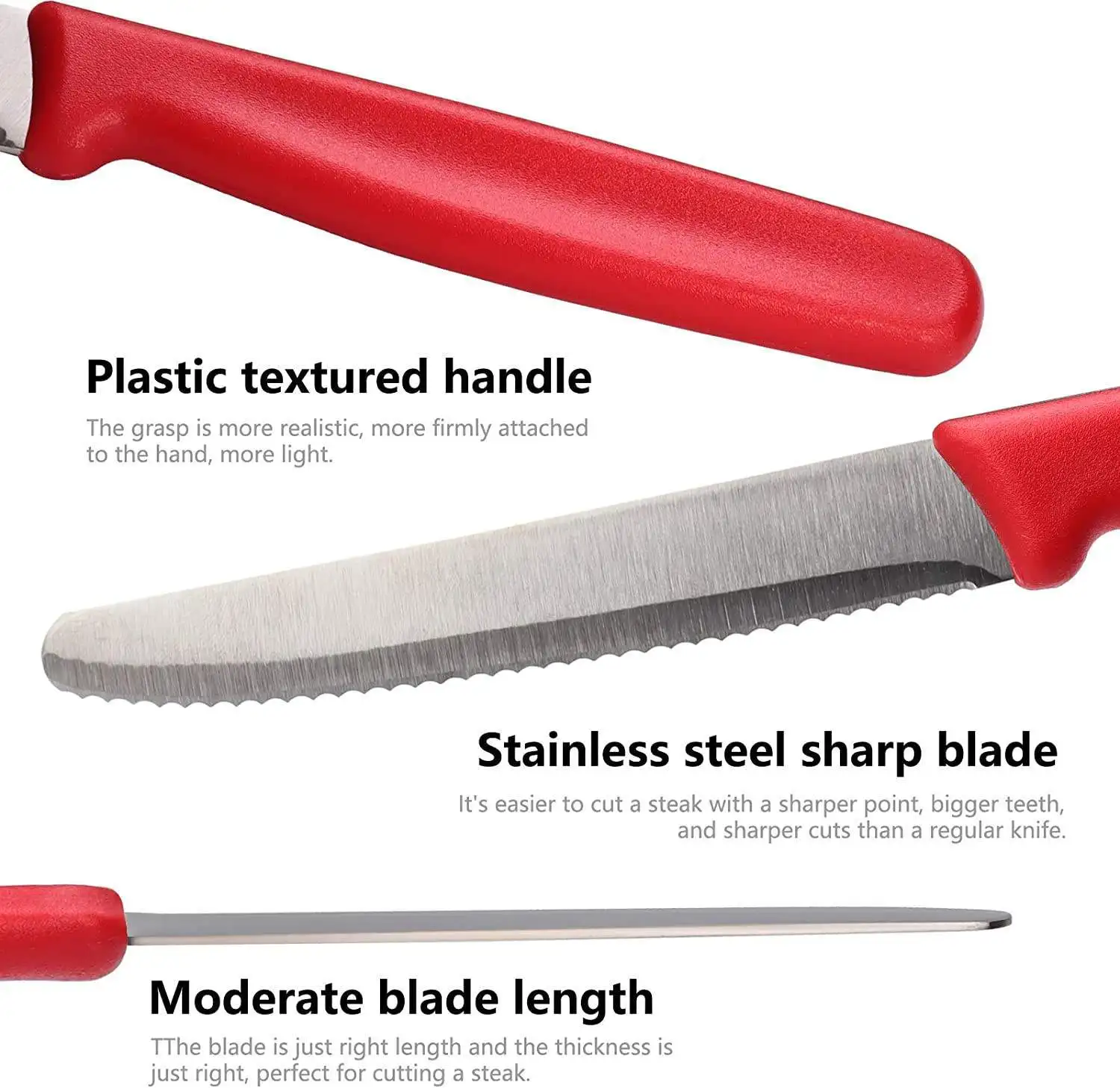Stainless Steel Steak Knives 5