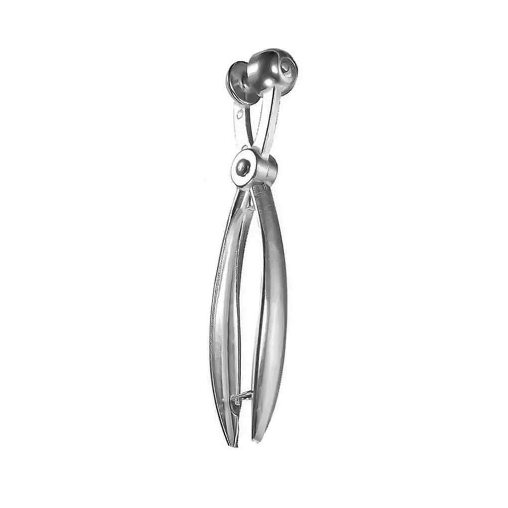 Fruit Pit Remover Cherry Pitter Jujube Olive Corer Kitchen Gadget
