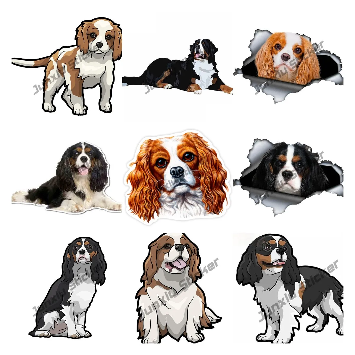 Cavalier King Charles Spaniel Materiale Adesivi In Vinile Per Auto Graffiti Decal Cavalier King Charles Adesivo Impermeabile Per Auto