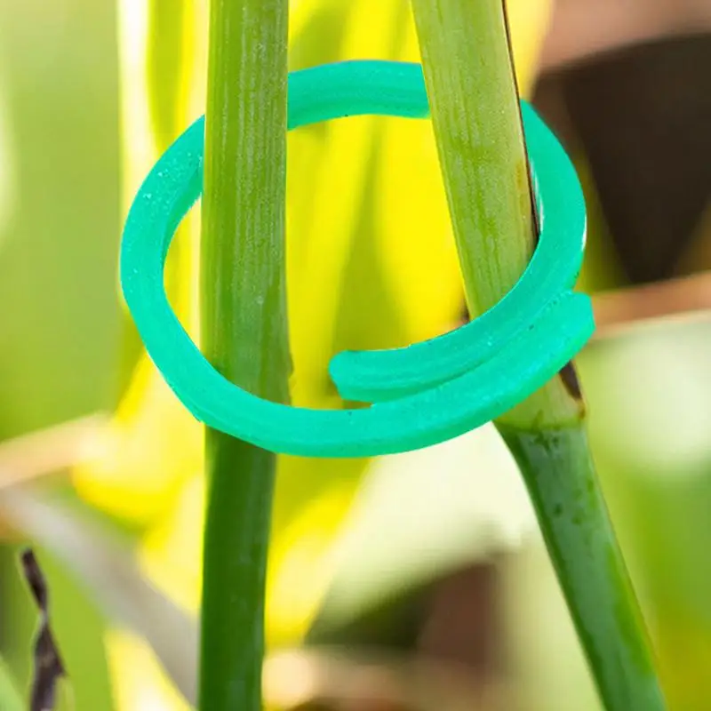 

Plant Clips Portable Vegetable Vine Growing Support Twisted Clip 100pcs Durable Tomato Climbing Assistant Holder Gardening Tools