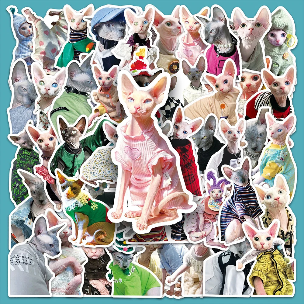 10/30/50PCS Cute Sphynx Cat Stickers Kawaii Animal Cartoon Decals DIY Scrapbook Phone Laptop Fridge Guitar Bike Graffiti Sticker 10 30 50pcs bird animal stickers cartoon fridge guitar laptop motorcycle luggage skateboard pvc graffiti cool sticker decals