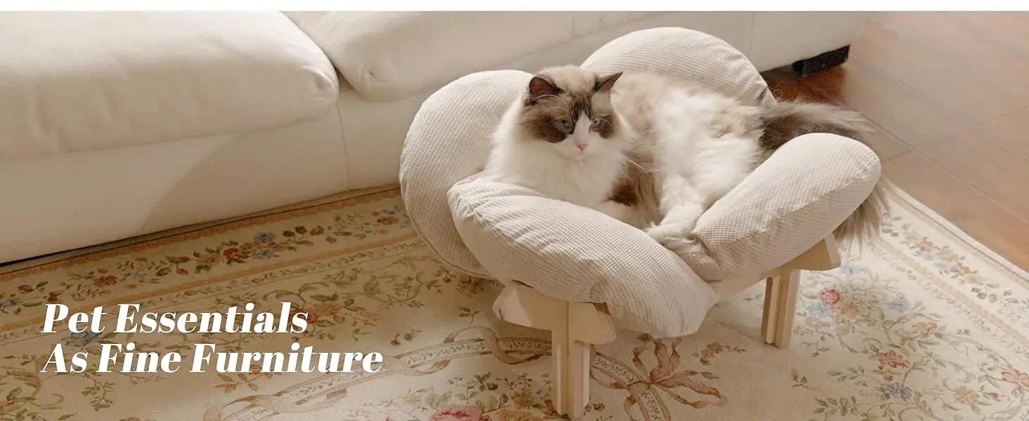 cat bed