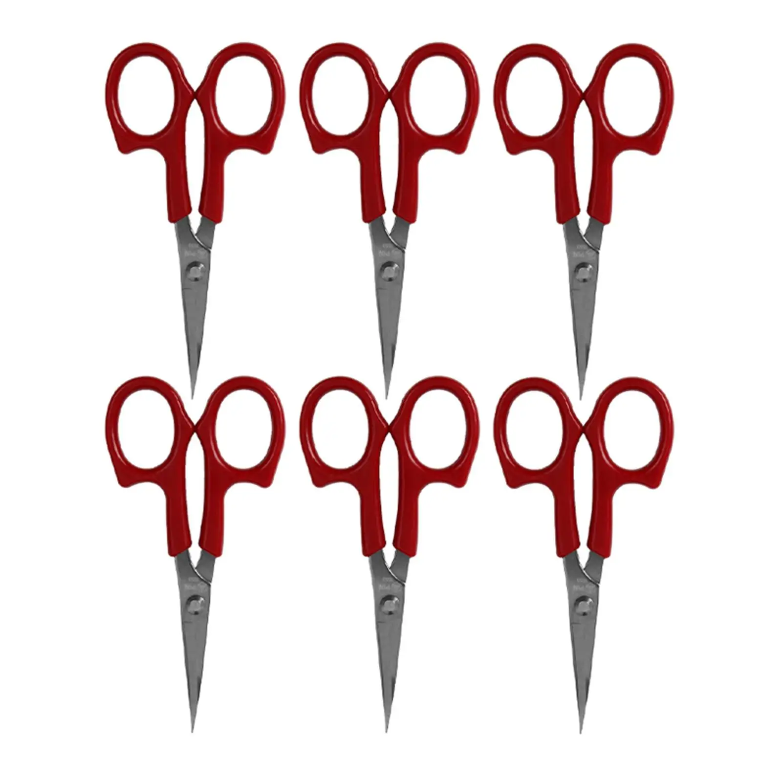 ڼ  Ʈ,   ٴ , ٴ , 6 
