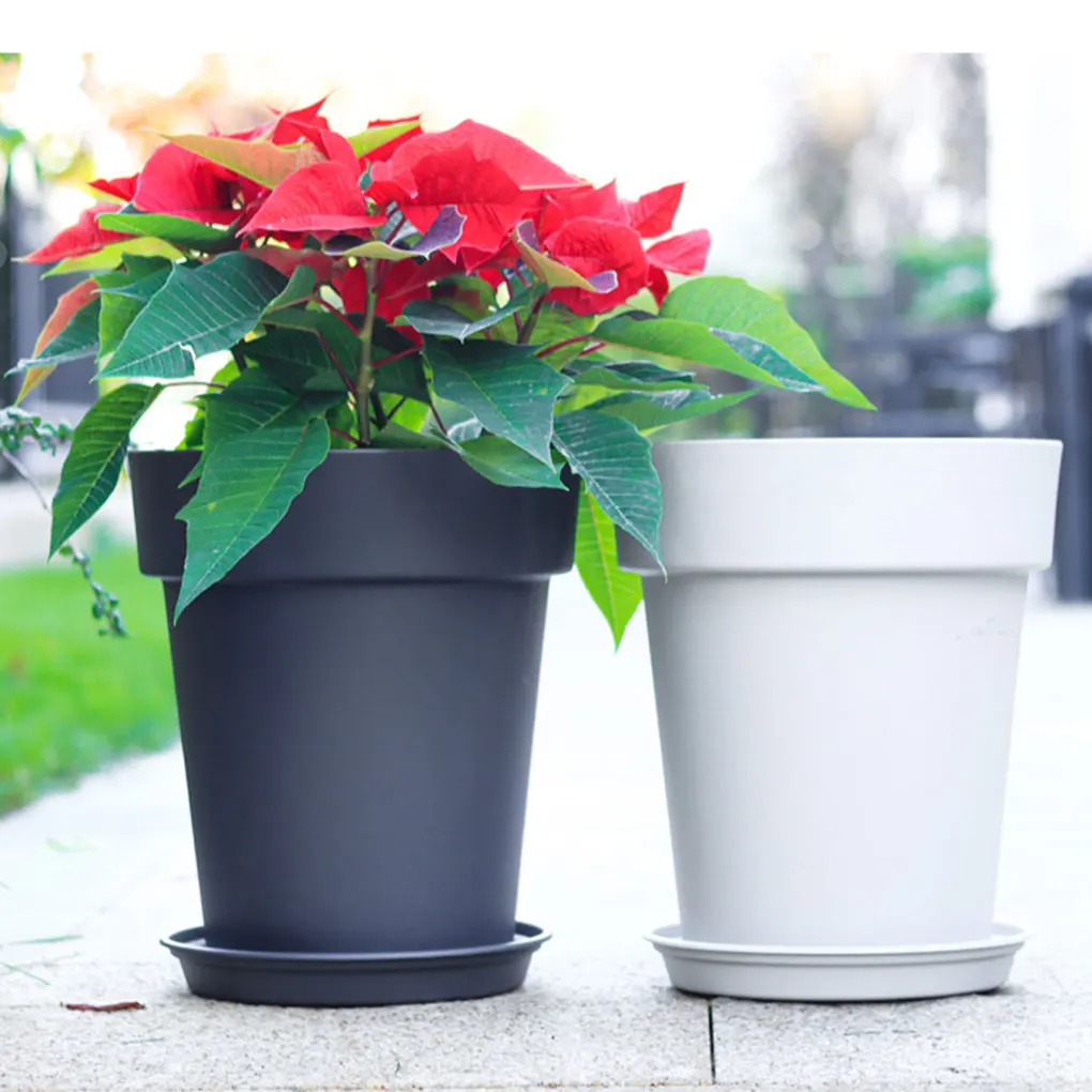 

Flower Pot Easy To Maintain Flowers And Herbs Indoor And Outdoor For Small Spaces Plant Flower Pot
