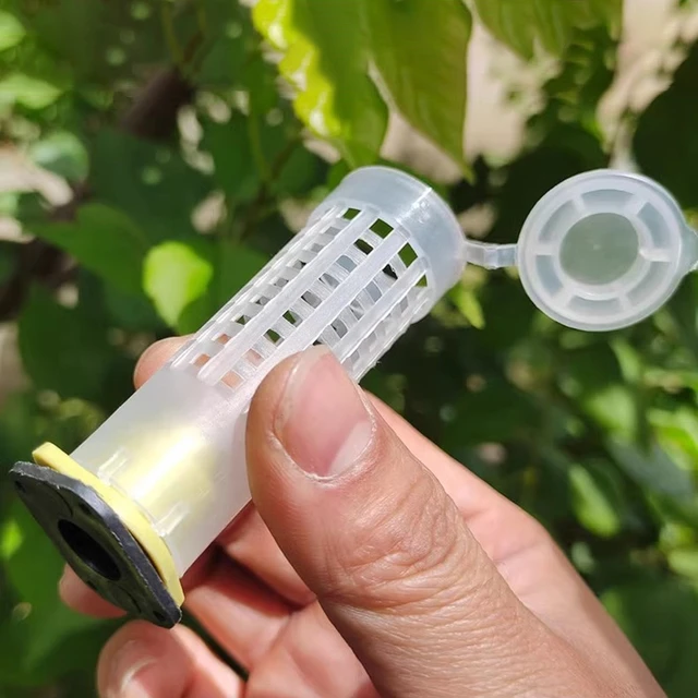 Bee Méhészeti Fogó Tenyésztés Cupkit Rendszer Méhek Ketrecek King Queen Box Cellák Ketrec Méhészet Különleges Eszközök 1 Készlet - Image 4