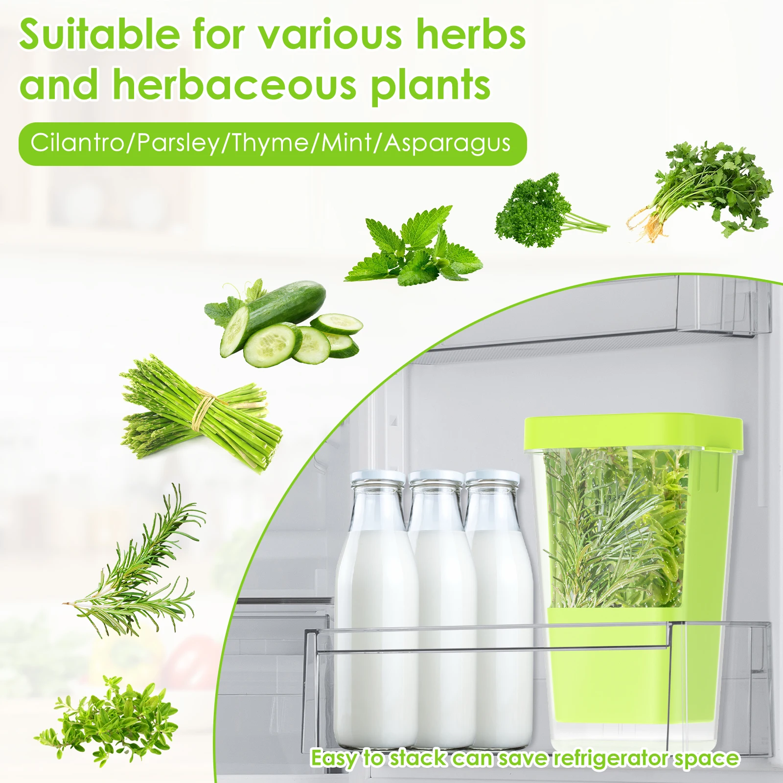 Herb Saver for Refrigerator 5