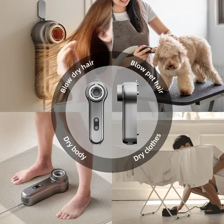 mini automatic electric portable ionic small air hand hair blow body compact clothes shoe dryer machine pet BLDC wall mounted
