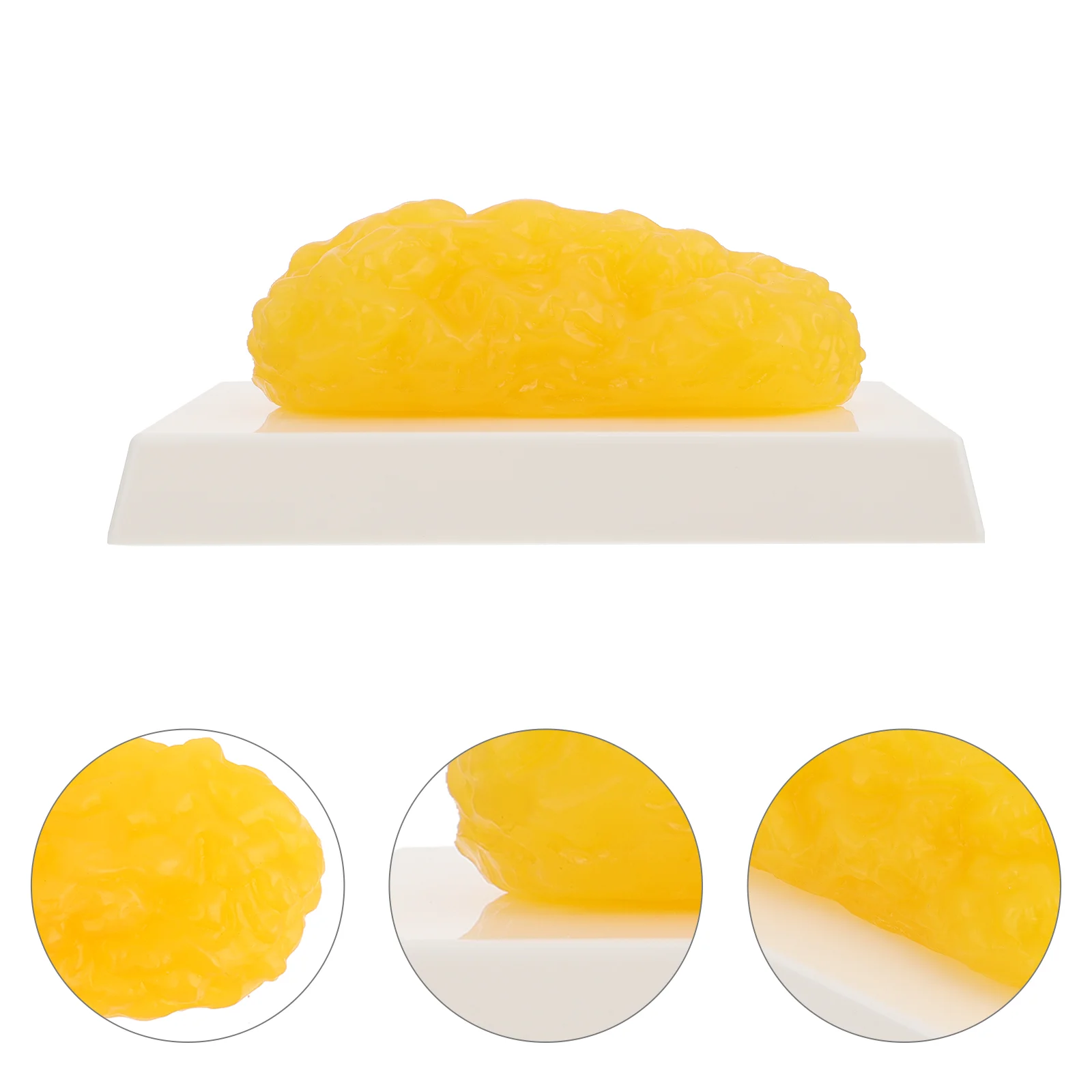 

Human Body Fat Replica Pound Fat Model Fat Models Model for Keep Fit