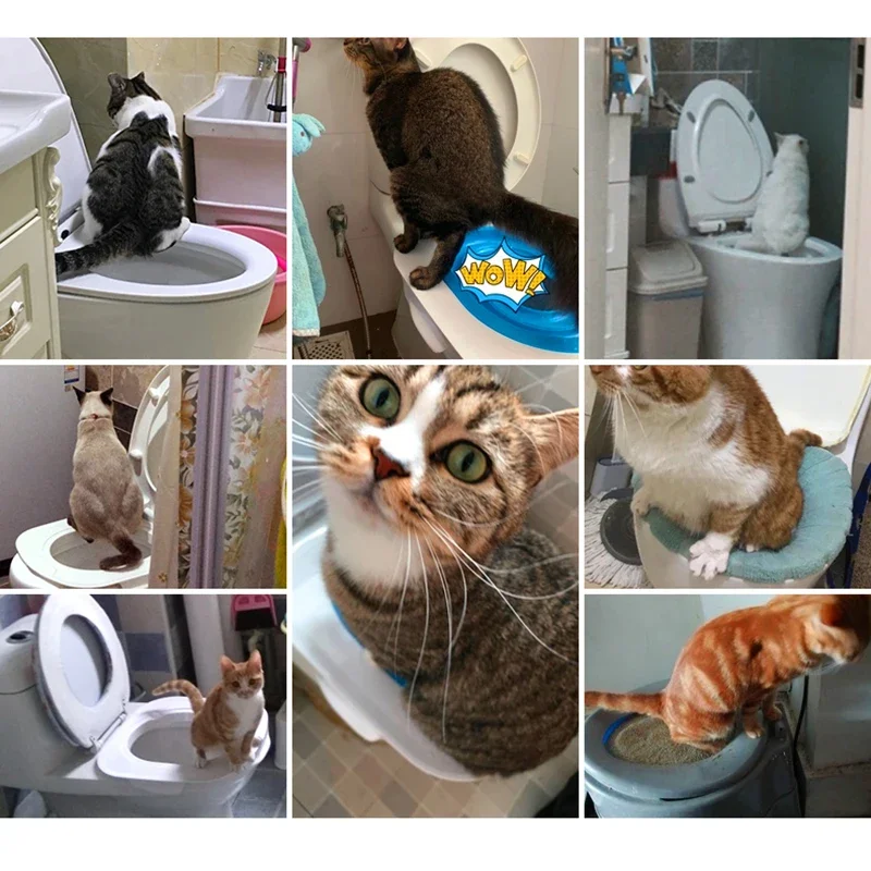 Effective Cat Toilet Training Kit with Litter Box and Litter Mat Say Goodbye To Messy Floors Cat Training & Behaviour Aids