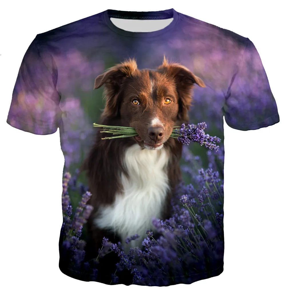 New Fashion Border Collie Male/Female 3d Printed T-shirt