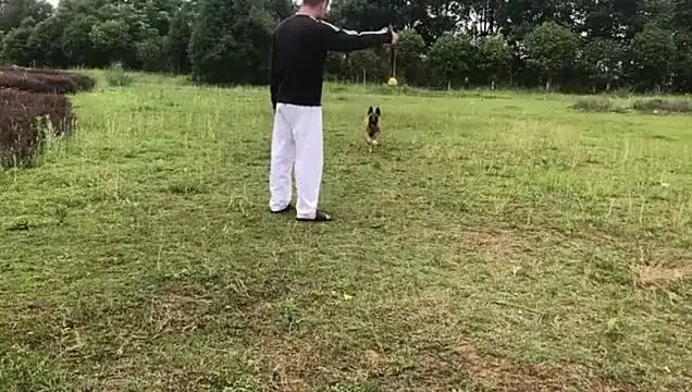 Hondenballen - Interactief Kauwspeelgoed voor Puppy's - Duurzaam