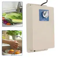Portable  Generator  Fruit Vegetable Cleaner Purifier Washer Cleaning Machine for Meat Domestic Food 50w-150w 1