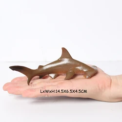 Endangered Marine Animals Figurine Set - Ocean Wildlife Conservation Awareness Toy Collection (Hammerhead shark 689)