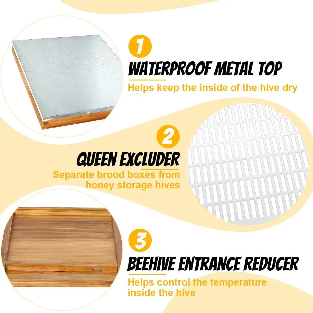 Langstroth Complete Beehives Starter Kit Includes 2 Deep Brood Box and 2 Medium Super Box 3