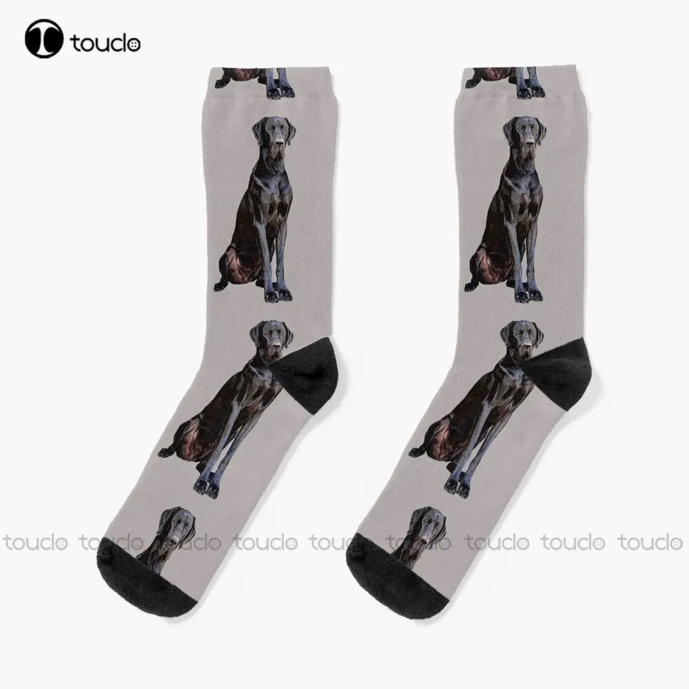 

Great Dane Stunning Black Dog Of Elegance Dog Dogs Puppy Puppies Socks Men'S Socks Custom Gift Streetwear Funny Sock Art